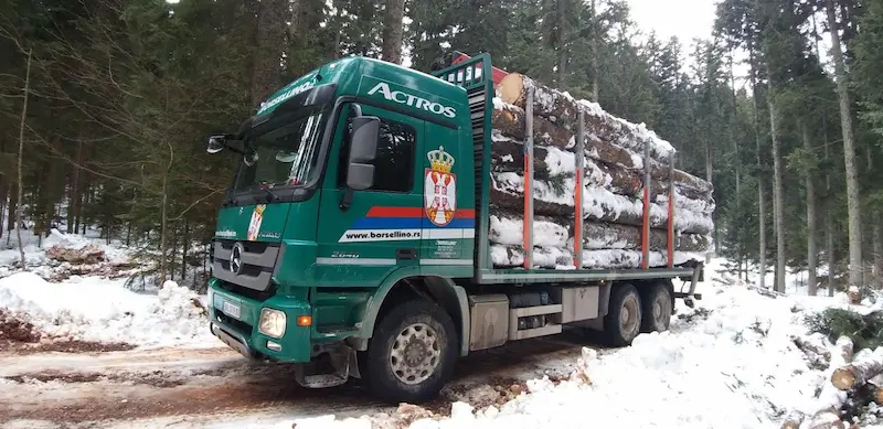 tree shaping