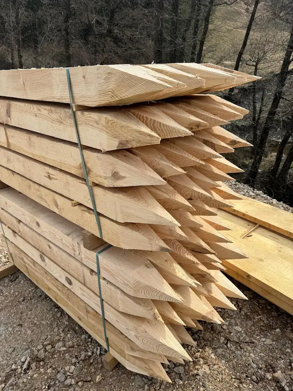 bark beetle treatment