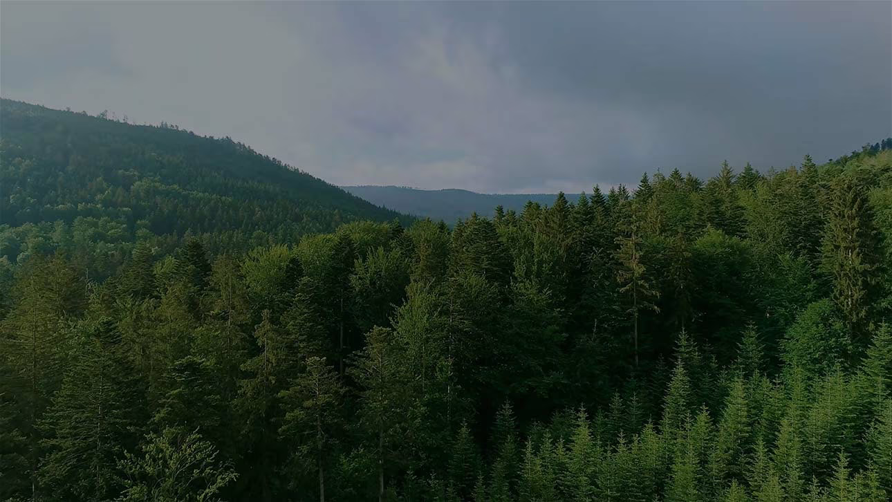 mountains