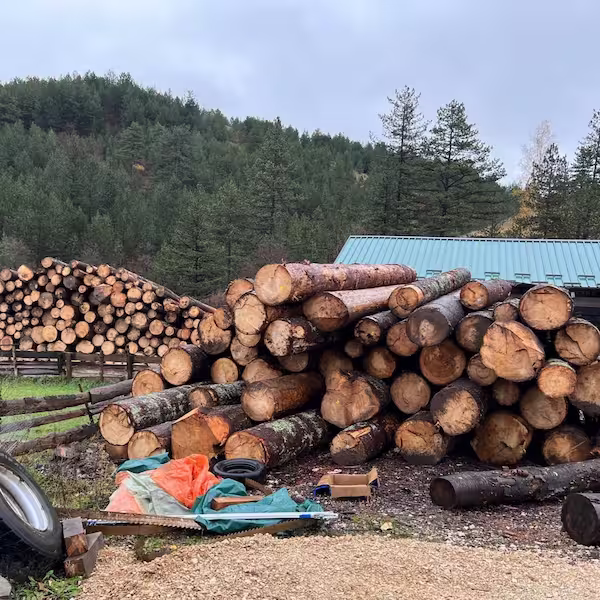 Prodaja građe za građevinske projekte