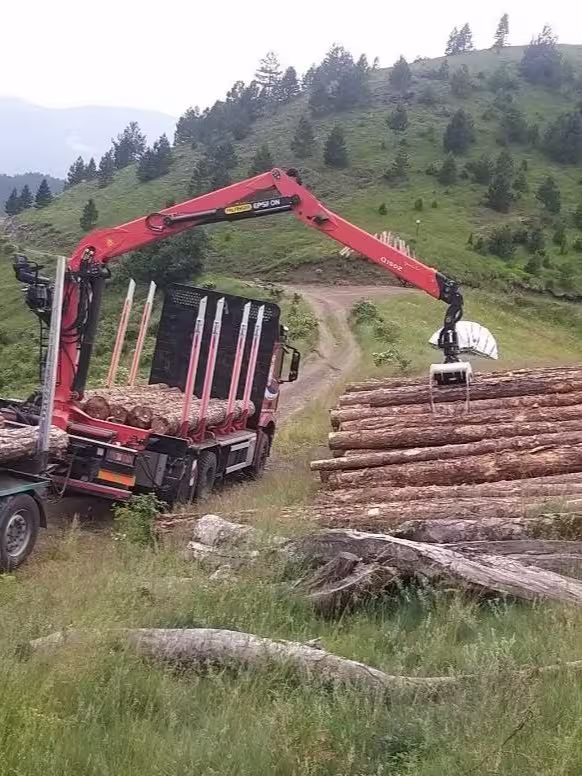 Utovar drveta hidrauličnom rukom